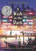 Cover Image for A Wish in the Dark -- Christina Soontornvat, Paperback