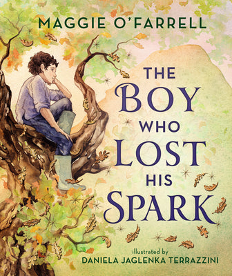 Cover Image for The Boy Who Lost His Spark -- Maggie O'Farrell, Hardcover
