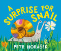 Cover Image for A Surprise for Snail -- Petr Horàcek, Hardcover