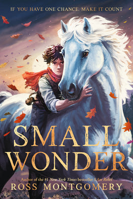 Cover Image for Small Wonder -- Ross Montgomery, Paperback