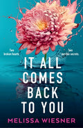 Cover Image for It All Comes Back to You -- Melissa Wiesner, Paperback