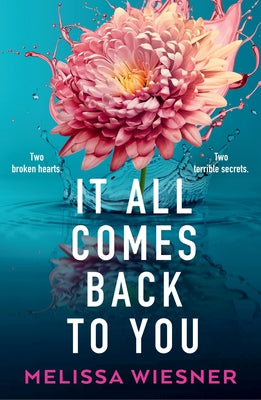 Cover Image for It All Comes Back to You -- Melissa Wiesner, Paperback