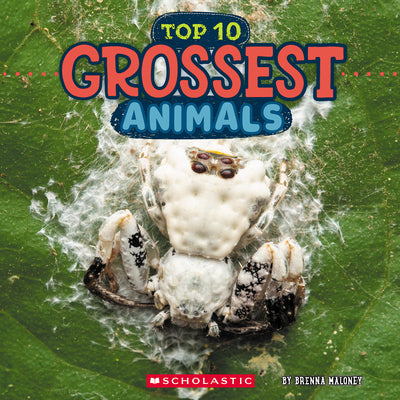 Cover Image for Grossest Animals (Wild World: Top 10) -- Brenna Maloney, Hardcover