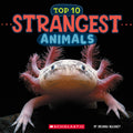 Cover Image for Strangest Animals (Wild World: Top 10) -- Brenna Maloney, Hardcover