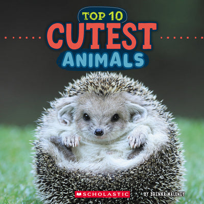 Cover Image for Cutest Animals (Wild World: Top 10) -- Brenna Maloney, Paperback