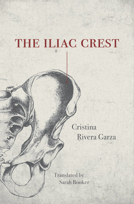 Cover Image for The Iliac Crest -- Cristina Rivera Garza, Paperback