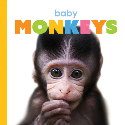 Cover Image for Baby Monkeys -- Kate Riggs, Board Books