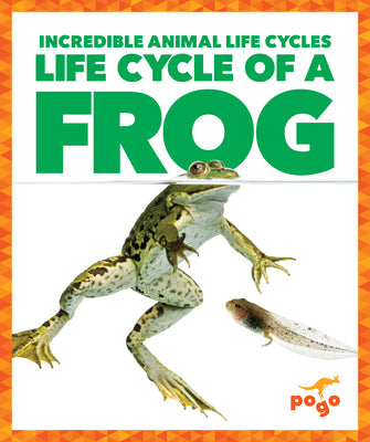 Cover Image for Life Cycle of a Frog -- Karen Kenney, Paperback