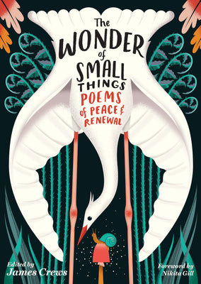 Cover Image for The Wonder of Small Things: Poems of Peace and Renewal -- James Crews, Paperback