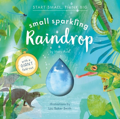 Cover Image for Small Sparkling Raindrop (Start Small, Think Big #5) -- Mary Auld, Hardcover