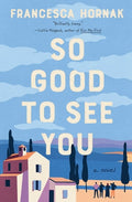 Cover Image for So Good to See You -- Francesca Hornak, Hardcover