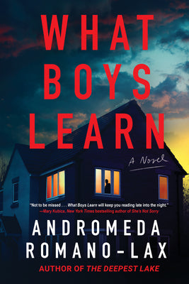 Cover Image for What Boys Learn -- Andromeda Romano-Lax, Hardcover