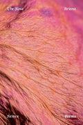 Cover Image for The Rose: Poems -- Ariana Reines, Paperback