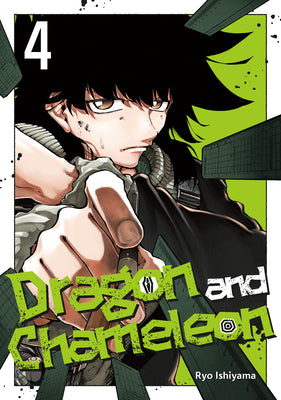 Cover Image for Dragon and Chameleon 04 -- Ryo Ishiyama, Paperback
