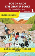 Cover Image for Five Chapter Books 1: Decodable Series for Students Learning to Read. For Beginning Readers and Students with Dyslexia. (Step 1-All Letters plus Conso -- Pamela Brookes, Paperback