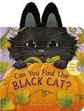 Cover Image for Can You Find the Black Cat?: With Flaps to Lift! -- Danielle McLean, Board Books