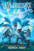 Cover Image for The Night Compass -- Amanda Foody, Paperback