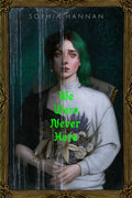 Cover Image for We Were Never Here -- Sophia Hannan, Hardcover