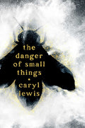 Cover Image for The Danger of Small Things -- Caryl Lewis, Hardcover