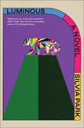 Cover Image for Luminous -- Silvia Park, Hardcover