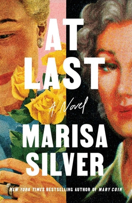 Cover Image for At Last -- Marisa Silver, Hardcover