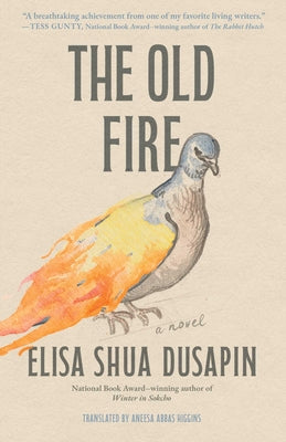 Cover Image for The Old Fire -- Elisa Shua Dusapin, Hardcover