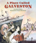 Cover Image for A Place Called Galveston -- Andrea Shapiro, Hardcover
