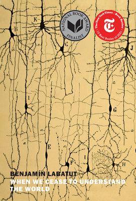 Cover Image for When We Cease to Understand the World -- Benjamin Labatut, Paperback