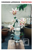 Cover Image for Perfection -- Vincenzo Latronico, Paperback