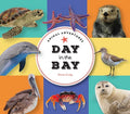 Cover Image for Animal Adventures: Day in the Bay -- Fiona Craig, Board Books