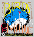 Cover Image for Birds of Maine -- Michael Deforge, Hardcover