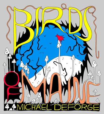 Cover Image for Birds of Maine -- Michael Deforge, Hardcover