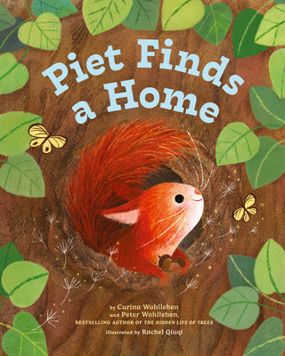 Cover Image for Piet Finds a Home -- Peter Wohlleben, Hardcover