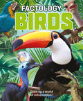 Cover Image for Factology: Birds: Open Up a World of Information! -- , Hardcover