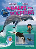Cover Image for My First Big Book of Whales and Dolphins -- Belinda Gallagher, Paperback
