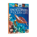 Cover Image for Children's Encyclopedia of Ocean Life: A Deep Dive Into Our World's Oceans -- Martin, Hardcover