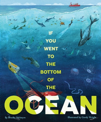 Cover Image for If You Went to the Bottom of the Ocean -- Brooke McIntyre, Hardcover