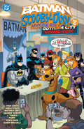 Cover Image for The Batman & Scooby-Doo Mysteries Vol. 6 -- Ivan Cohen, Paperback