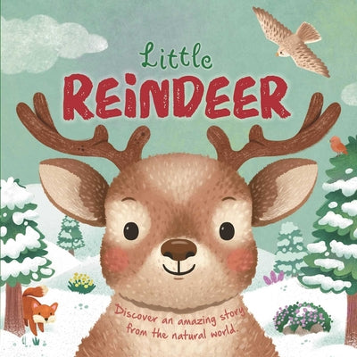 Cover Image for Nature Stories: Little Reindeer -- Igloobooks, Board Books
