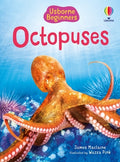 Cover Image for Octopuses (Usborne Beginners) -- Wazza Pink, Paperback