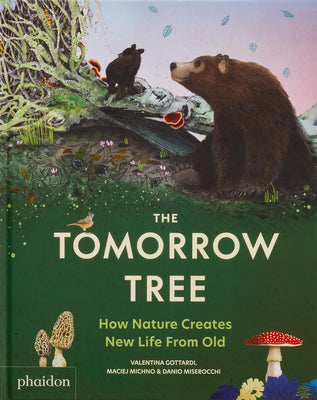 Cover Image for The Tomorrow Tree: How Nature Creates New Life from Old -- Valentina Gottardi, Hardcover
