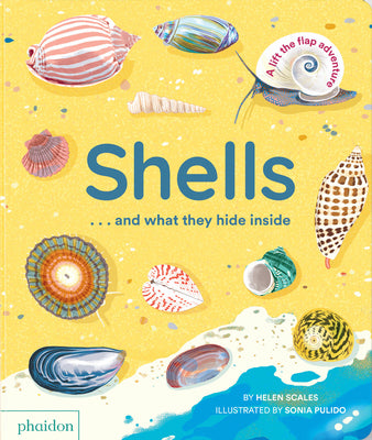 Cover Image for Shells... and What They Hide Inside: A Lift-The-Flap Adventure -- Helen Scales, Board Books