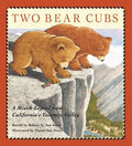 Cover Image for Two Bear Cubs: A Miwok Legend from California's Yosemite Valley -- Robert D. San Souci, Hardcover
