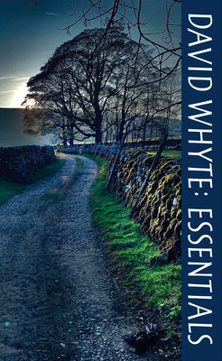 Cover Image for David Whyte Essentials -- David Whyte, Paperback