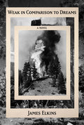 Cover Image for Weak in Comparison to Dreams -- James Elkins, Hardcover