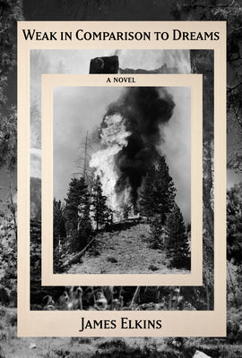 Cover Image for Weak in Comparison to Dreams -- James Elkins, Hardcover