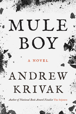 Cover Image for Mule Boy -- Andrew Krivak, Paperback