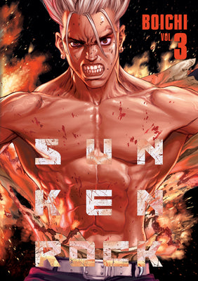 Cover Image for Sun-Ken Rock (Perfect Edition) Vol. 3 -- Boichi , Paperback