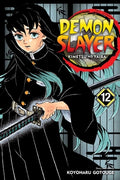 Cover Image for Demon Slayer: Kimetsu No Yaiba, Vol. 12 -- Koyoharu Gotouge, Paperback