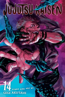 Cover Image for Jujutsu Kaisen, Vol. 14 -- Gege Akutami, Paperback